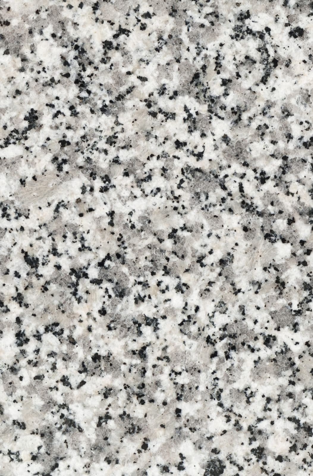 Dalle de Blanc Perle
